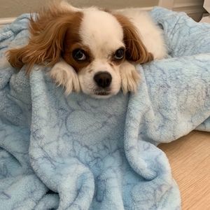 Meet your Posher, Corinne